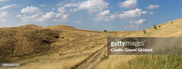 colline grano panoramica - colline stock pictures, royalty-free photos & images