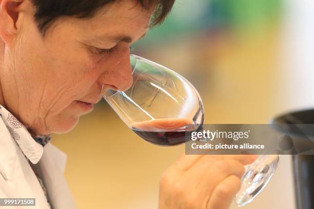 Expert Ursula Linssen tasting a red wine during the Federal Wine Awards of the DLG in Koblenz, Germany, 15 August 2017. The event is a search for the...