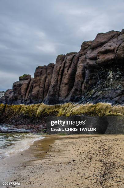 rock beach - sandy taylor stock pictures, royalty-free photos & images