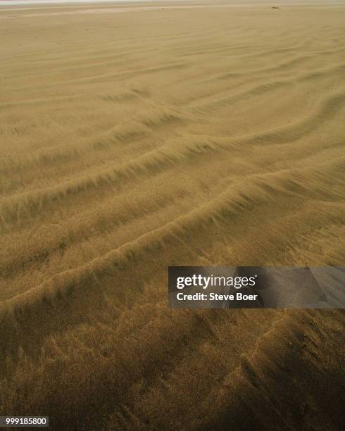 beach sand pattern - de boer bildbanksfoton och bilder