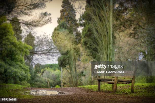 lonelyness - lonelyness stock pictures, royalty-free photos & images