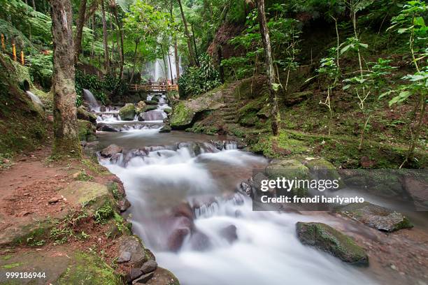 Img High-Res Stock Photo