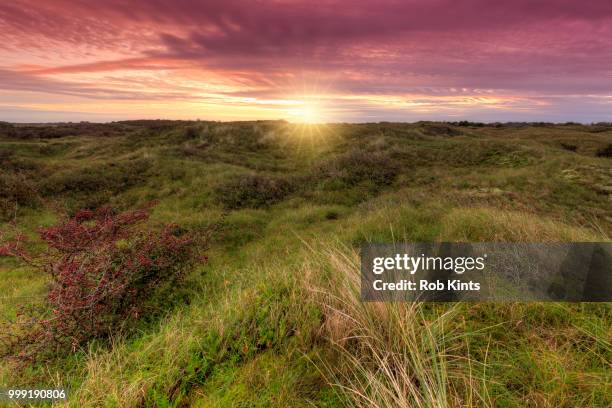 sunrise in the dunes of texel - waddeneilanden stockfoto's en -beelden
