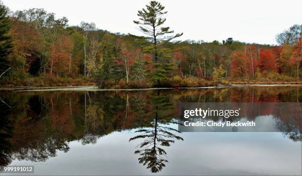 autumn mirror - cindy stock pictures, royalty-free photos & images