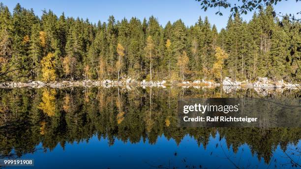 goldener herbst - herbst - fotografias e filmes do acervo