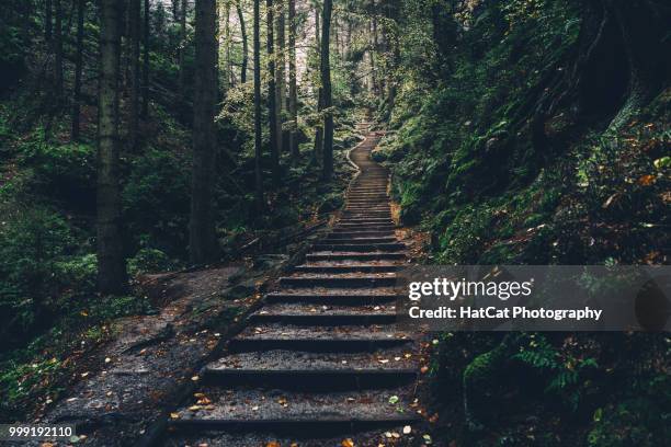 stadt wehlen,germany - stadt - fotografias e filmes do acervo