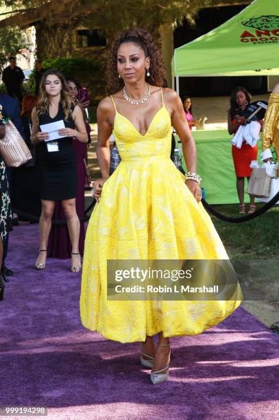 Actress Holly Robinson Peete attends The HollyRod Foundation's 20th Annual DesignCare Gala at Private Residence on July 14, 2018 in Malibu,...