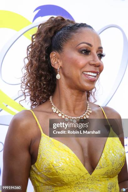 Actress Holly Robinson Peete attends The HollyRod Foundation's 20th Annual DesignCare Gala at Private Residence on July 14, 2018 in Malibu,...