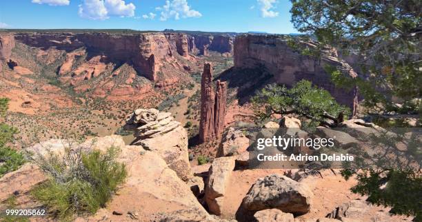 spider rock - adrien stock pictures, royalty-free photos & images