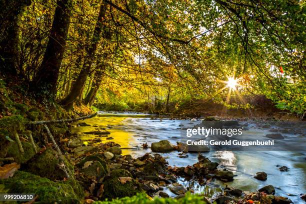 autumn in switzerland - gerold guggenbuehl fotografías e imágenes de stock