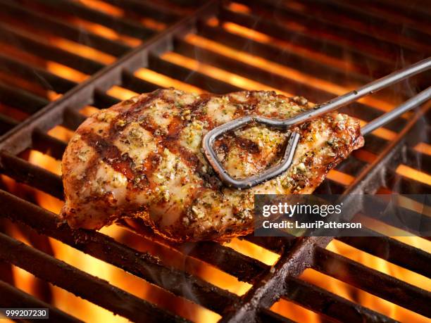 bbq, herb chicken breast - chicken meat stock pictures, royalty-free photos & images