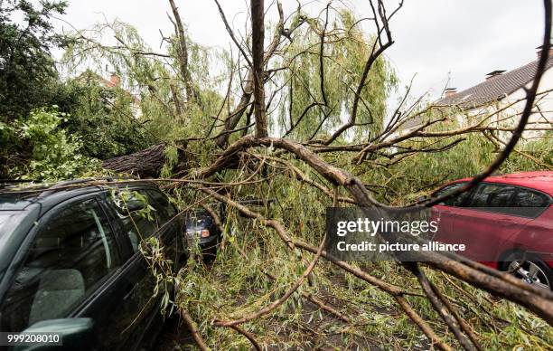 Tree lies on several cars after a heavy storm in Freiburg, Germany, 18 August 2017. A person, who was brought to a hospital, was sitting in a car and...