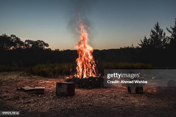 campfire - holzfeuer stock-fotos und bilder