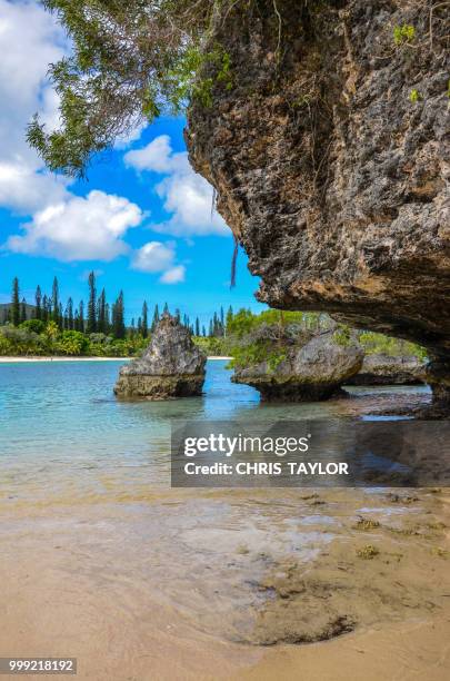 the beach - sandy taylor stock pictures, royalty-free photos & images