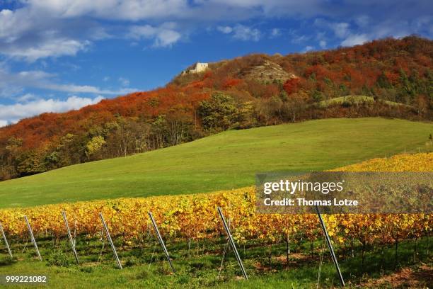 goldener herbst bei jena/golden autumn near jena - herbst - fotografias e filmes do acervo