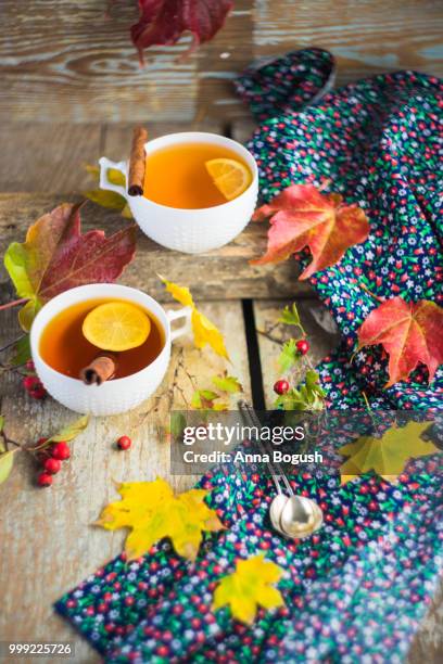 autumnal concept with yellow leaves - animal internal organ stockfoto's en -beelden