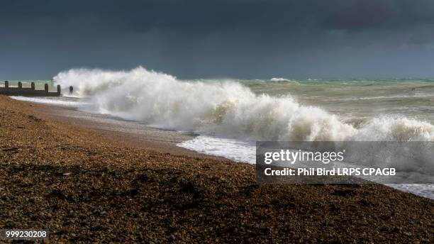 eastbourne, east sussex/uk - october 21 : tail end of storm bria - wet bird stock-fotos und bilder