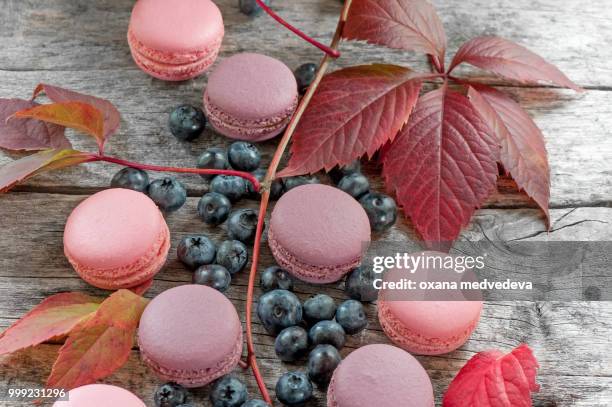 ripe blueberry with pink macaroons and red beautiful autumn leaves. copy space. - medvedeva ストックフォトと画像