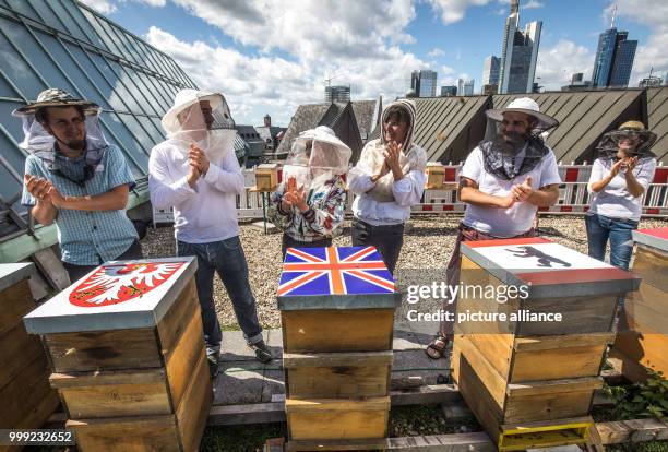 The beekeepers Piotr Pilasiewicz , Robert Jabulowski , Nicola Bradbear , Erika Mayr , Csaba Mak and referee Julia Wittwer stand on the roof of the...