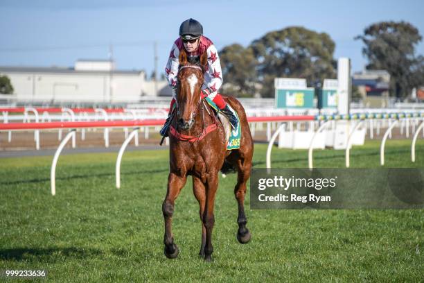 Dean Yendall returns to the mounting yard on Zedinator after winning the Gordon Ave Pool and Spas BM64 Handicap, at Geelong Racecourse on July 15,...