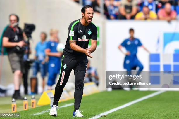 Bremen's coach Alexander Nouri gestures during the German Bundesliga soccer match between 1899 Hoffenheim and Werder Bremen in the Rhein-Necker-Arena...