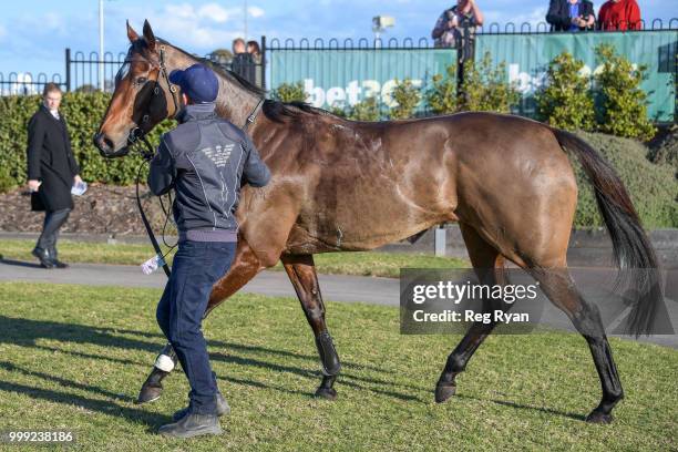 Getemhel ridden by Michael Dee wins the Barryâs Bins Fillies and Mares BM64 Handicap at Geelong Racecourse on July 15, 2018 in Geelong, Australia.