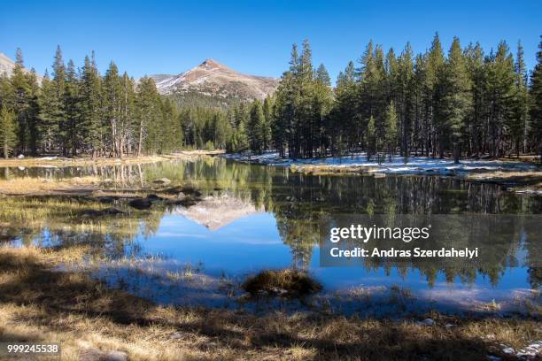 view of mt. gibbs of tioga road - gibbs stock pictures, royalty-free photos & images