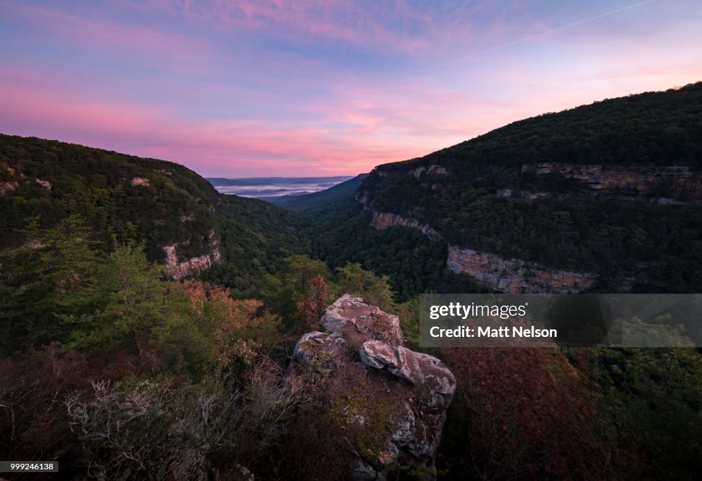 Cloudland Canyon