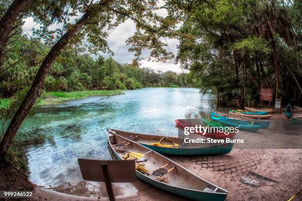canoes at wekiwa springs state park in florida - wekiwa river stock pictures, royalty-free photos & images