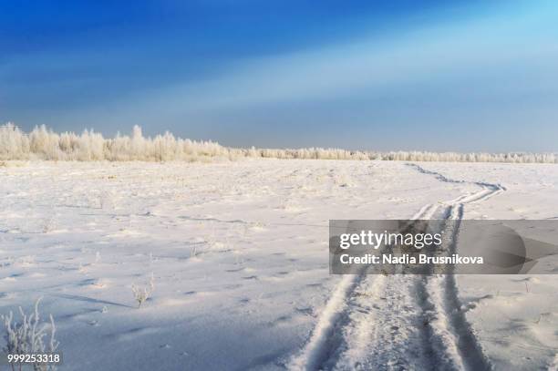 winter landscape. winter road, through a field covered with snow. - nadia stock pictures, royalty-free photos & images