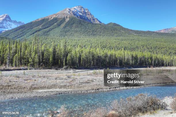 rocky mountains with athabasca river in foreground - harold stock pictures, royalty-free photos & images