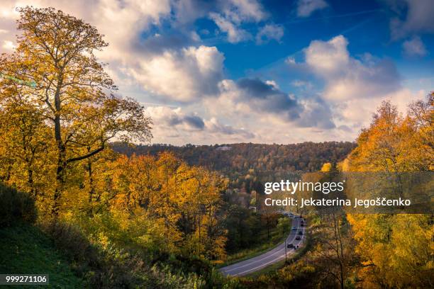golden autumn - lettland landschaft stock-fotos und bilder