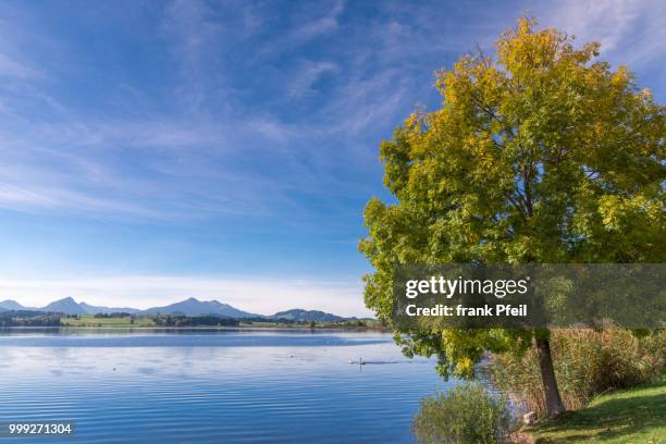 berge_see3 - pfeil stock pictures, royalty-free photos & images