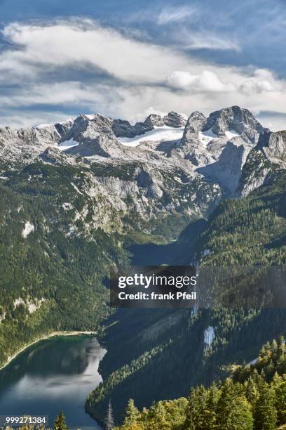 gossau_see - pfeil stock pictures, royalty-free photos & images