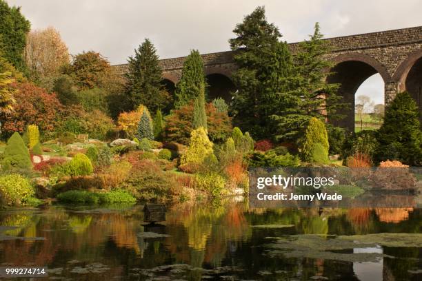 not firever green! - jenny wade photos stock pictures, royalty-free photos & images