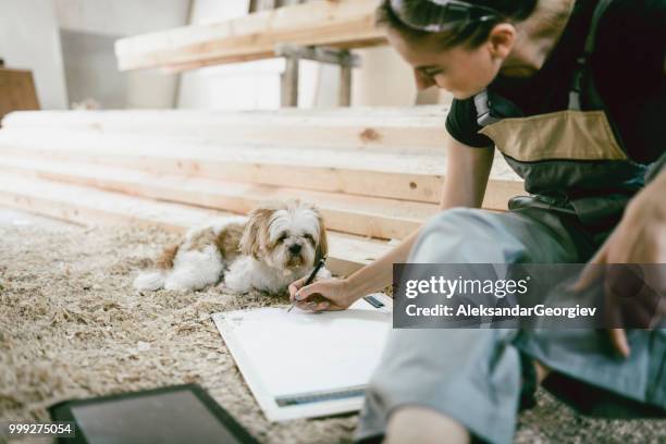 cute female designing and drawing new project while dog assistant watches - aleksandar georgiev stock pictures, royalty-free photos & images