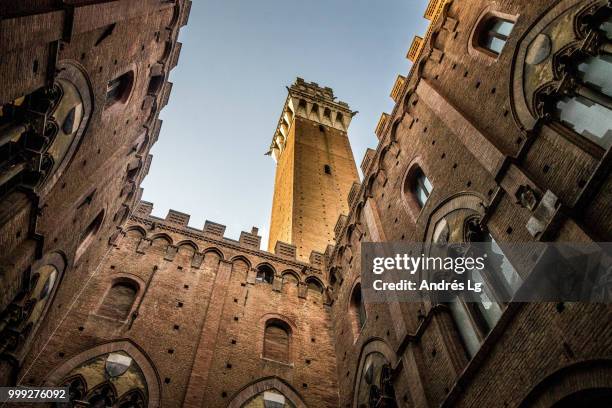 palazzo pubblico - siena - palazzo pubblico stock pictures, royalty-free photos & images