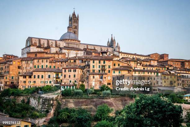 duomo di siena - duomo di siena stock pictures, royalty-free photos & images