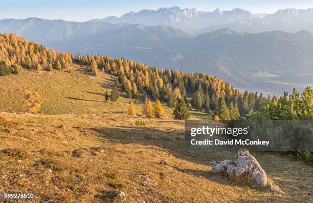 julian alps 2 - julian david stock-fotos und bilder