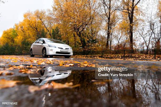 toyota prius on autumn road in rainy day - prijs stock pictures, royalty-free photos & images
