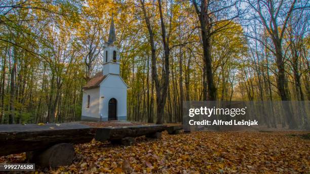 chapel of st. vid - alfred stockfoto's en -beelden