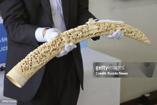 Photo taken at a police station in Gifu Prefecture on May 21 shows an elephant tusk that was confiscated after being traded illegally via a flea...