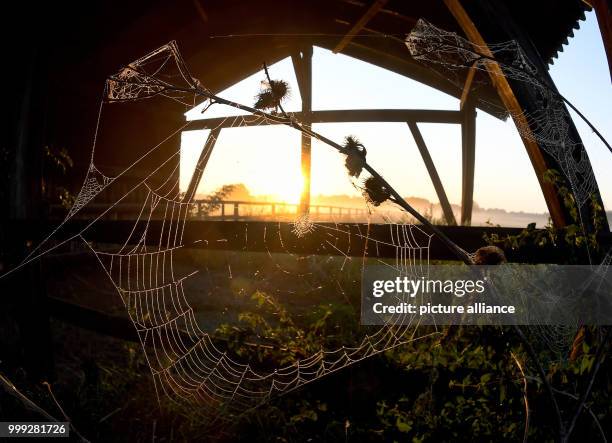Ein Spinnenetz hängt am vor aufgehender Sonne in einem Netz mit Tauperlen bei Isernhagen . Photo: Holger Hollemann/dpa