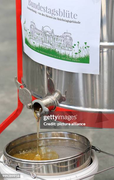 Fresh honey from bee colonies flows into a bucket at Paul-Loebe-Haus in Berlin, Germany, 23 August 2017. The honey is sold labelled as...