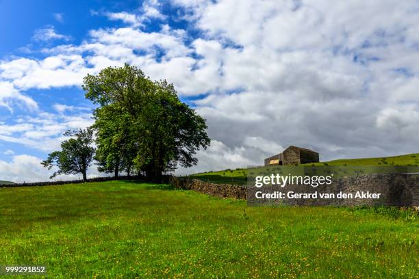 Twisted Tree Ribblehead 519 Ribblehead Stock Photos, High-Res Pictures, and Images - Getty Images
