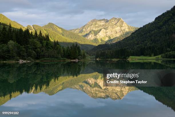 lac de vallon - lac stock pictures, royalty-free photos & images