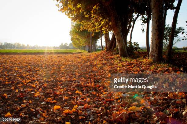 fall land - matita stock pictures, royalty-free photos & images