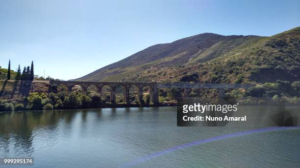 rio douro - portugal - amaral fotografías e imágenes de stock