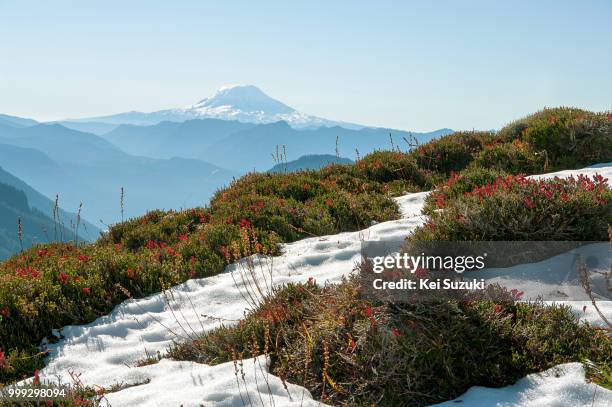 mt. adams - kei stock-fotos und bilder