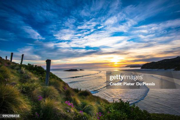 summer beach - du plessis stock pictures, royalty-free photos & images